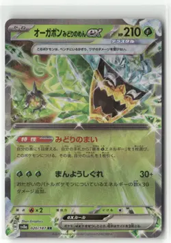 Pokemon Teal Mask Ogerpon ex - Double Rare SV8a: Terastal Fest ex 020/187 NM - Image 1