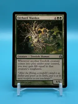 Orchard Warden - Morningtide (MOR) - Regular - NM - Image 1