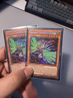 Yugioh Radiant Typhoon Deck Core TCG DOOD🔥🔥 - Image 3