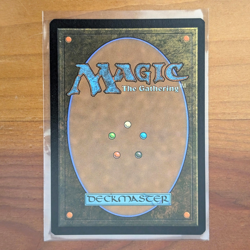 Wan Shi Tong, Librarian - Prerelease Foil Promo - Avatar TLA MTG - Image 2