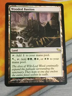D1143 MAGIC GATHERING SHADOWMOOR WOODED BASTION 281 LP R MTG - Image 1