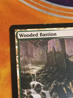 D1143 MAGIC GATHERING SHADOWMOOR WOODED BASTION 281 LP R MTG - Image 3