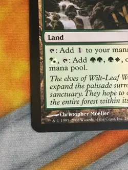 D1143 MAGIC GATHERING SHADOWMOOR WOODED BASTION 281 LP R MTG - Image 4