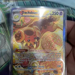 Pokemon TCG Stellar Crown Dachsbun EX SIR Holo Card 169/142 Near Mint - Image 4