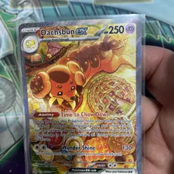 Pokemon TCG Stellar Crown Dachsbun EX SIR Holo Card 169/142 Near Mint - Image 5