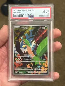 PSA 8 - 2023 Pokemon TCG PAL EN-Paldea Evolved Tropius #195 Illustration Rare - Image 1