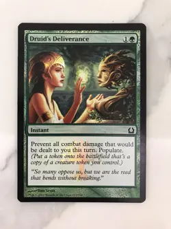 Druid's Deliverance Foil MTG Magic the Gathering Card NM Mint Return Ravnica - Image 1