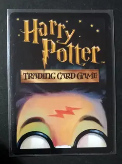 Harry Potter Trading Card Game - Rubeus Hagrid - 18/116 ITA 2001 - Holo - Image 2