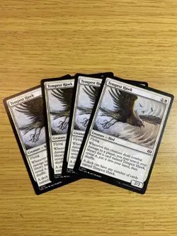 Tempest Hawk Tarkir: Dragonstorm Regular x4 Playset - Image 1