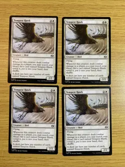 Tempest Hawk Tarkir: Dragonstorm Regular x4 Playset - Image 2
