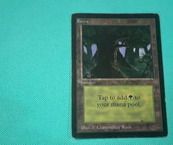 Forest - Beta - MTG - Magic the Gathering - Image 2