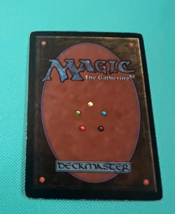 Forest - Beta - MTG - Magic the Gathering - Image 3