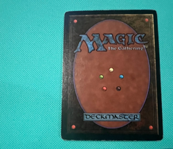 Forest - Beta - MTG - Magic the Gathering - Image 4