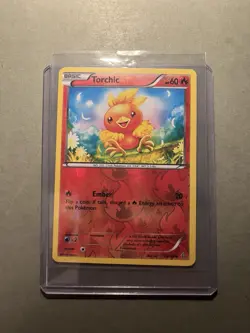 Torchic Holo Pokemon TCG Primal Clash 25/160 NM Condition Reverse Holo - Image 1