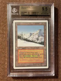 Taiga, Unlimited, Graded (BGS 9.5), MTG, Vintage, Legacy, Commander EDH - Image 1