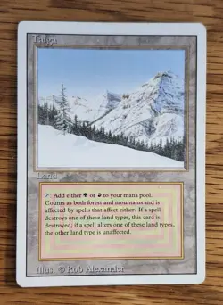 MTG Taiga Revised Edition Dual Land, NM/LP Condition - Image 3