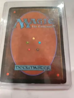 Bayou Magic the Gathering - Image 2