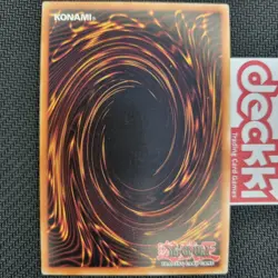Legendary Collection GX, Ra Yellow Pack, Yugi's World, Joey's World, 5Ds & Kaiba - Image 5