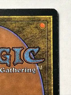 MTG Merchant Scroll Homelands Magic The Gathering - Image 4