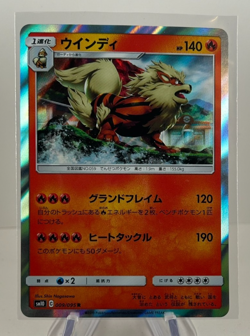 ARCANINE 009/095 SM10 Double Blaze Holo Japanese Pokemon Card NM - Image 1