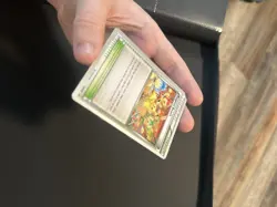 Tropical Beach 2014 Pokemon World Championships Black Star Promo BW50 - Image 3