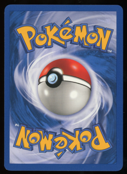 Pokemon - Best of Game Promo - Rocket's Sneasel - Winner Stamped - #5 - Image 2