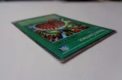 Brain Control TLM-EN038 (Super Rare, Unlimited, Lightly Played / LP) Yugioh - Image 3