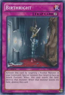 Birthright - YSKR-EN047 - Common - 1st Edition - Lightly Played - Image 1