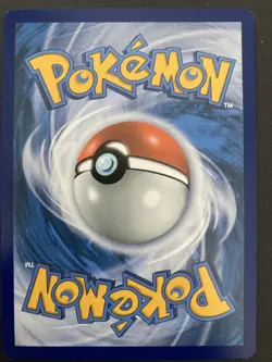 Morpeko Holo - SWSH116 - Black Star Promo - Pokemon Card - Image 2