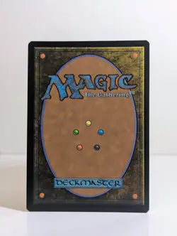 Tidus, Yuna's Guardian (Borderless) - Final Fantasy Foil - MTG - Magic - Image 2