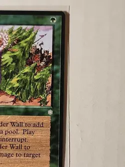 Tinder Wall - Ice Age - MTG Magic - Error Card - Miscut - Image 2