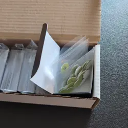 Lot of 500 Bloomburrow Basic Land Magic: The Gathering Cards w/ Box + Markers - Image 3