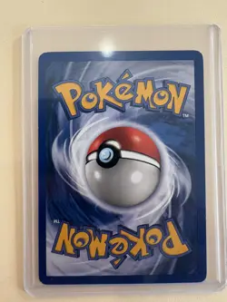 Pokemon - Eevee Black Star Promo 11 Holo - Rare - 1999-2000 WoTC LP - Image 2
