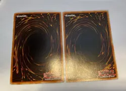 Yugioh - Dark Magician Knight ROD-EN001 + Knight’s Tale ROD-EN002 - LP SET - Image 4