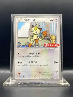Meowth - 204/BW-P Promotional cards Regular (Japanese) DMG - Image 1