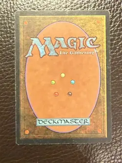 MTG Visions - Undiscovered Paradise Inconnu- French EX - Image 2