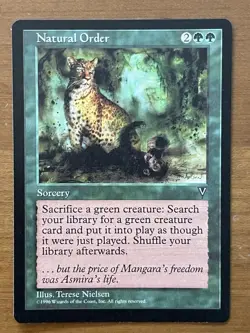 Natural Order Magic the Gathering Visions Regular Rare Card LP - Image 1