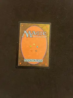 Adarkar Wastes (spanish) [6th Edition] Magic MTG Cards LP - Image 2