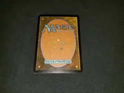 MTG 1x Future Sight rare land HP Spanish FOIL Nimbus Maze - see description - Image 2