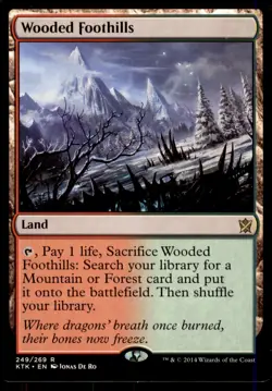 Khans of Tarkir Wooded Foothills #249 - Image 1