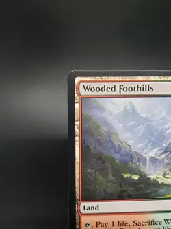 Wooded Foothills Modern Horizons 3 Regular 236 LP - Image 2
