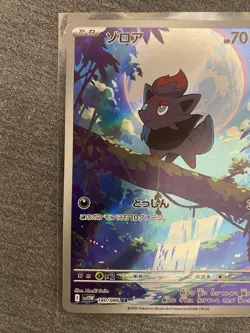 Zorua AR 140/086 SV11W White Flare - Pokemon Card Japanese Scarlet & Violet - Image 3