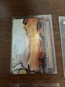 Alpha Sorcery Foil Lot of 13 Cards Contested Realm - Image 2