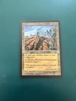 MtG Wasteland: Tempest NM ACTUAL PHOTOS! - Image 1