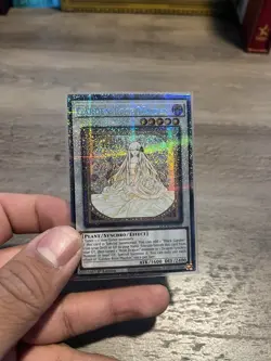 Yu-Gi-Oh TCG Garden Rose Maiden Starlight Rare 1st Edition Doom of Dimensions NM - Image 3