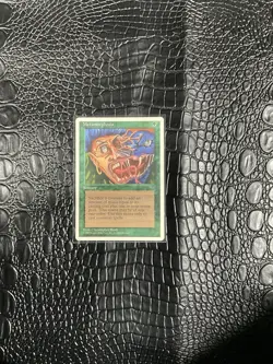 Metamorphosis Chronicles Magic the Gathering Card - Image 1