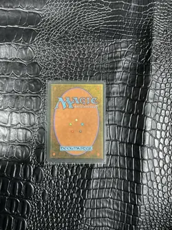 Metamorphosis Chronicles Magic the Gathering Card - Image 2