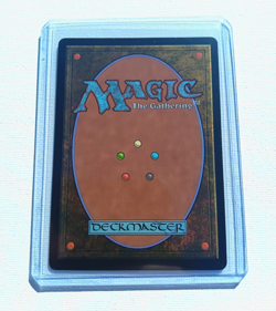 Chronicle of Victory (Showcase) 0346 Foil Lorwyn Eclipsed MTG NM - Image 4