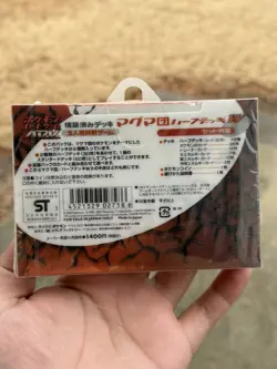 Pokemon Card Magma Deck Kit Magma Vs Aqua 2003 Japanese - Image 2