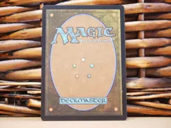 MTG Fetid Pools 0494 RARE EXT ART LAND | NM Near Mint | WHO | 2023 - Image 2